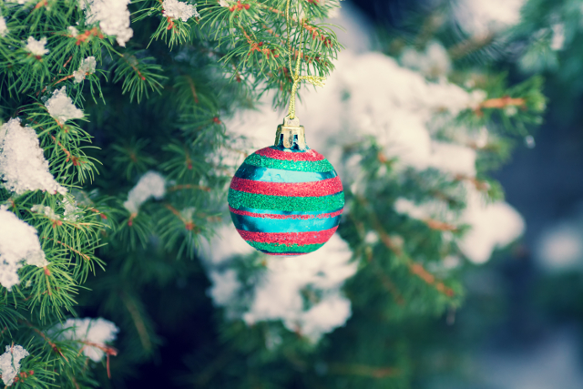 Pests You Don’t Want to Find in Your Christmas Tree