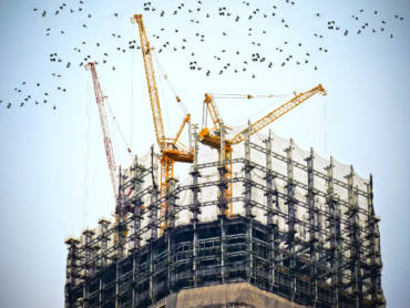 Pest Control Tips for Construction Sites
